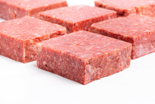 How to Safely Handle Raw Dog Food - Raw Dog Food Frozen Blocks Layed Out Side by Side