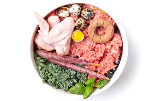 How do I Switch from Kibble to Raw Dog Food? - Overhead shot of bowl of raw dog food with quail eggs, raw chicken, veggies, and dog treats