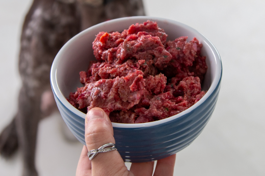 How to Overcome Common Raw Dog Food Challenges - Woman handing a dog raw dog food in a bowl