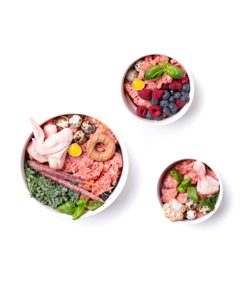 All Products - Raw dog food bowls with cuts of chicken, vegetables, fruits, and quail eggs