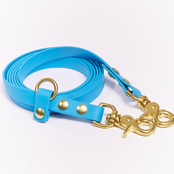 blue hands-free dog leash