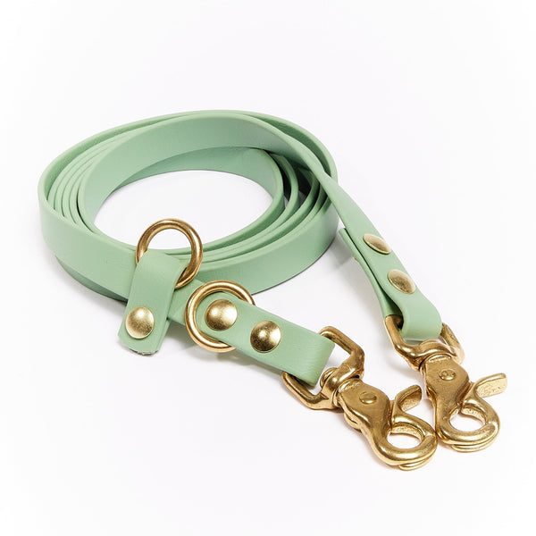 Photo - Mint green dog leash with gold hardware for pets. Stylish and durable design, ideal for dog walking in Montreal, Canada.