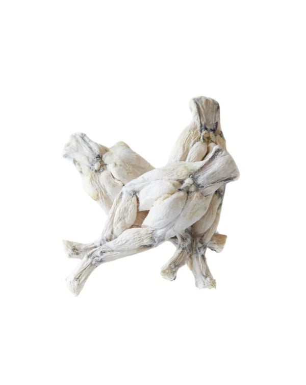 freeze dried frog legs for dogs