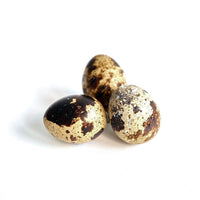 Photo - Fresh quail eggs with brown speckles, a nutritious raw dog food topper, photographed in Montreal, Canada.