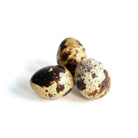Quail Eggs Raw - Canino Dog Food