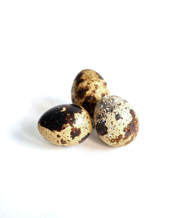 Photo - Fresh quail eggs with brown speckles, a nutritious raw dog food topper, photographed in Montreal, Canada.