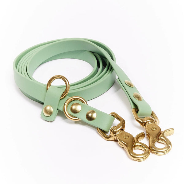 green hands-free dog leash
