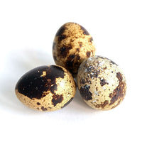 Quail Eggs Raw