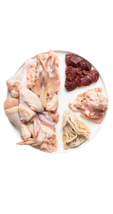 Photo - Raw dog food ingredients with chicken, bone, beef, liver, organs, and tripe on plate. High-protein, nutrient-rich diet.