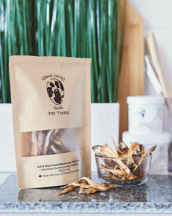 Sardines for Dogs