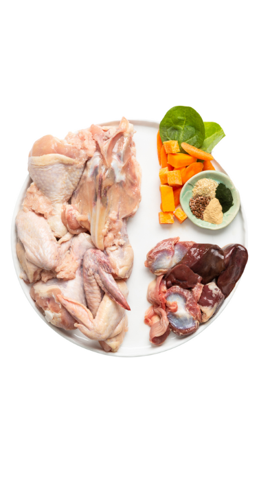 Photo - Raw dog food ingredients featuring chicken, liver, organs, vegetables, and supplements. Optimal nutrition for dogs.