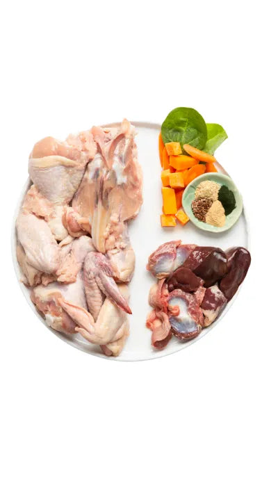 premium chicken raw dog food