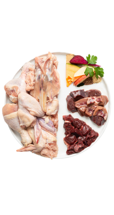 Photo - Raw dog food with chicken, beef, organs, vegetables, fruits, and supplements. Complete and balanced diet for dogs.