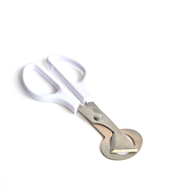 Photo - Stainless steel quail egg cutting scissors with ergonomic white handles, perfect for raw dog food preparation, photographed in Montreal, Canada.