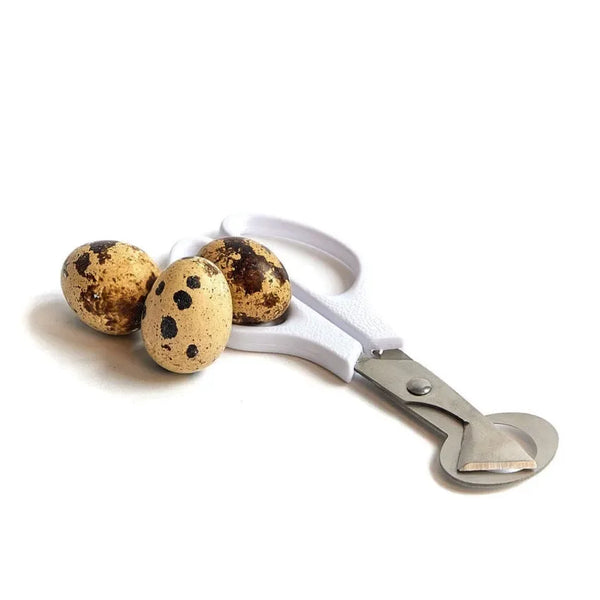 Quail Eggs Raw - Canino Dog Food