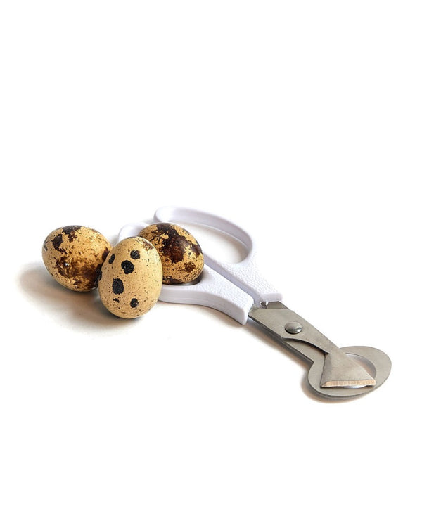 quali egg scissors
