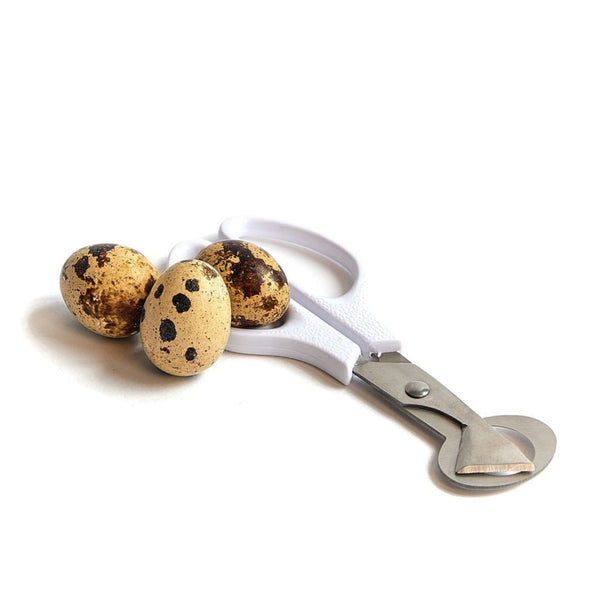 quali egg scissors