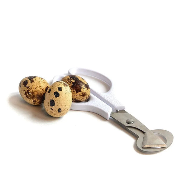 quali egg scissors