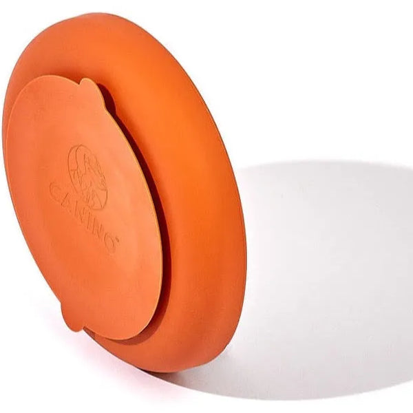terracotta slow feeder for dogs