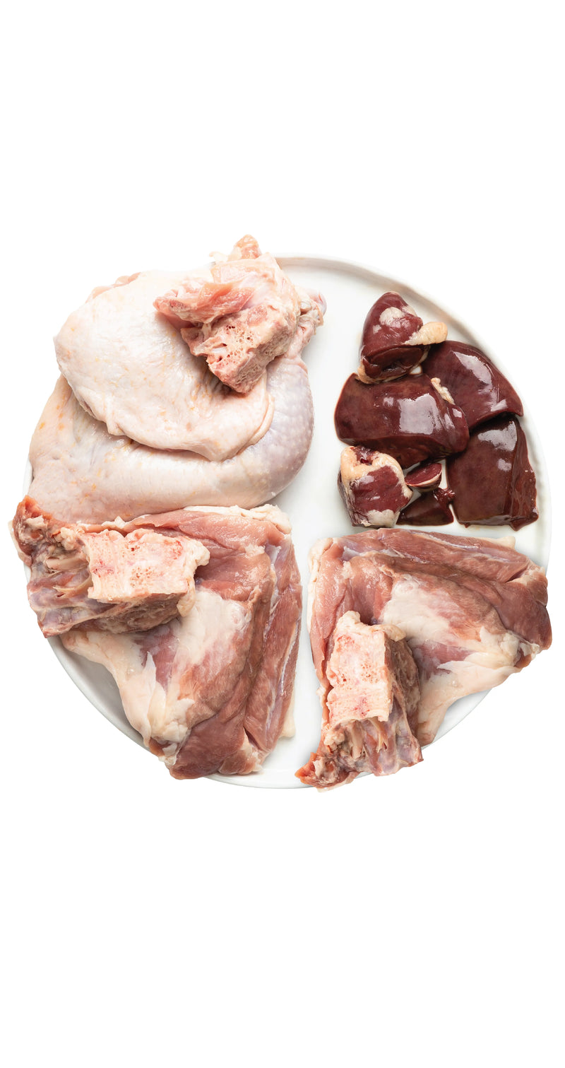 turkey raw dog food